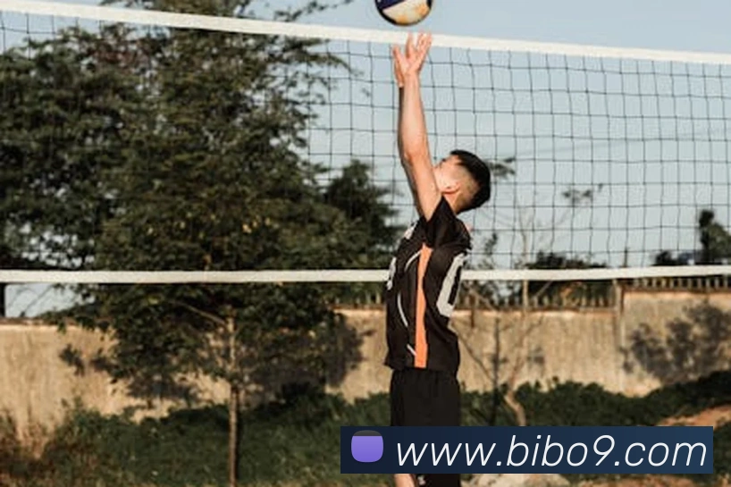 必博bibo全站App